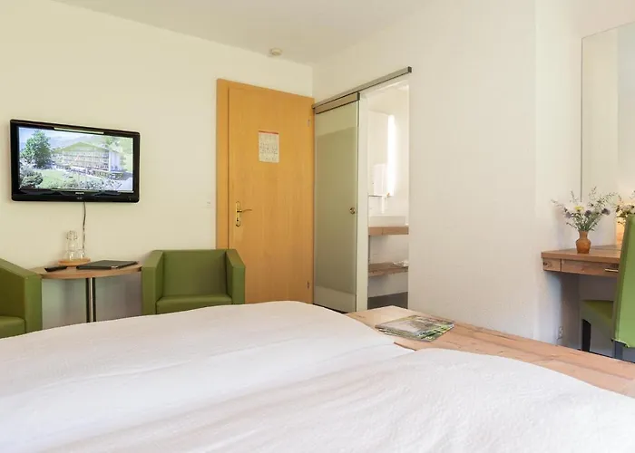 阿尔皮纳餐厅酒店 3*