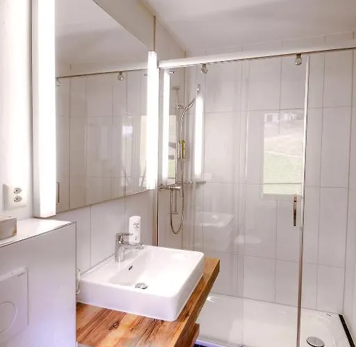 酒店 阿尔皮纳餐厅酒店 3*