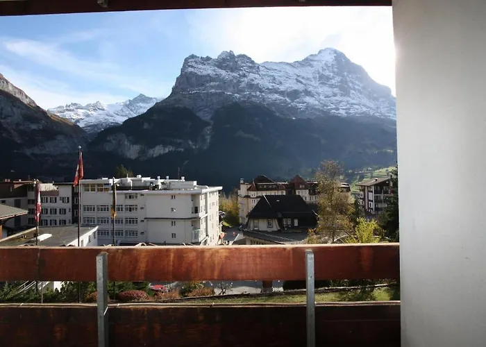 酒店 阿尔皮纳餐厅酒店 3*